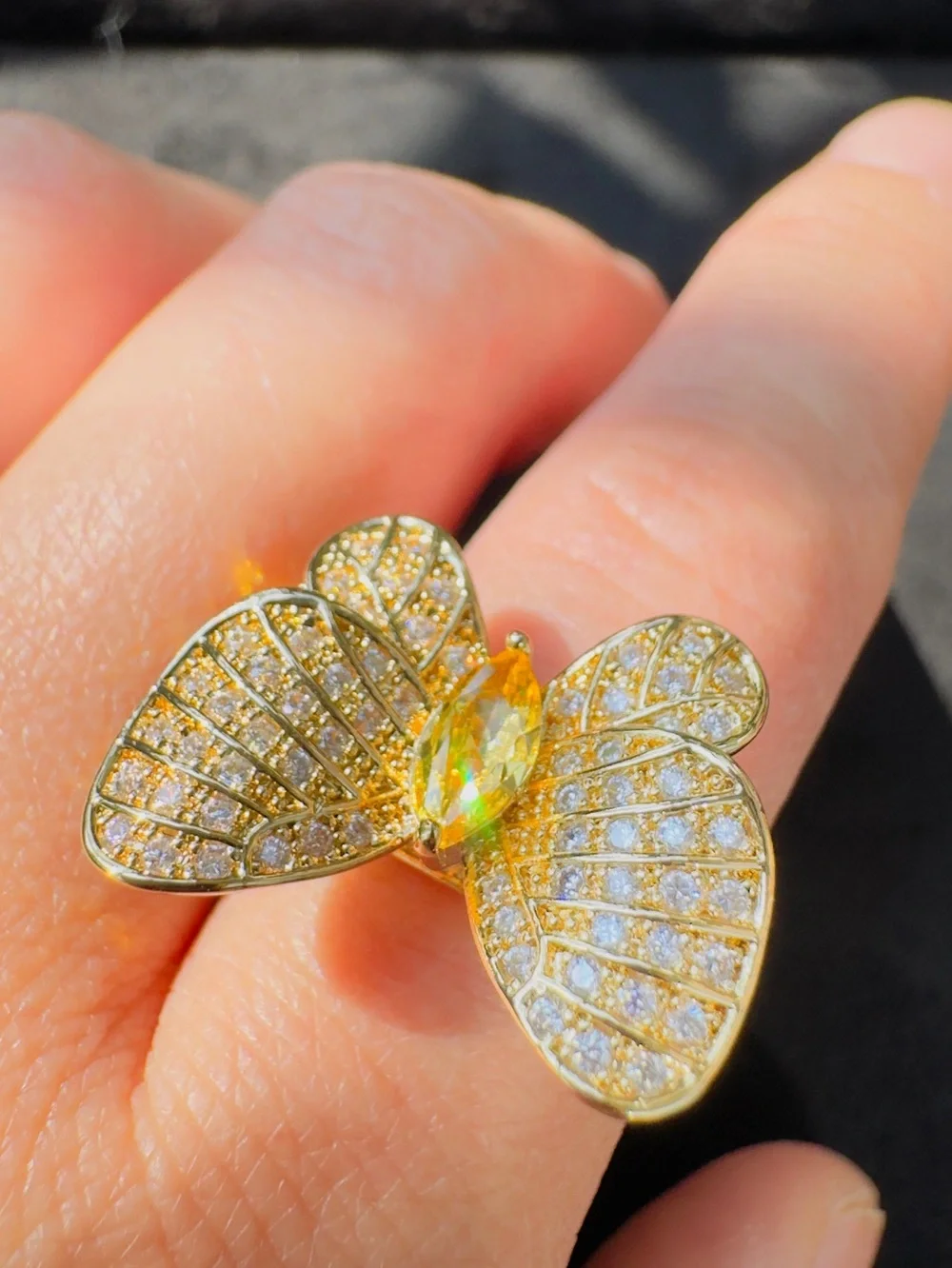 N/A stunning butterfly